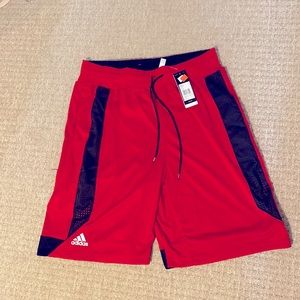 Adidas Basketball Club 2XLL shorts